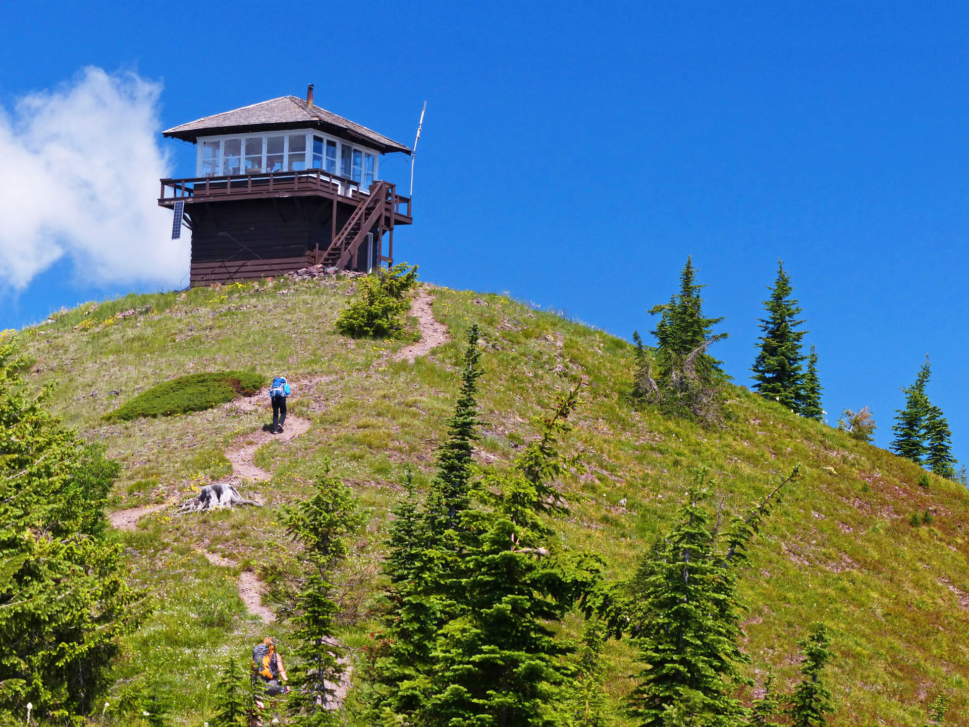 Huckleberry Lookout Trail: Larches, Bears & Stunning Glacier Views
